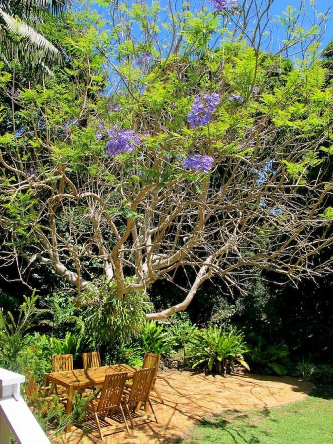 Beachcomber Lodge Lord Howe Island Екстер'єр фото